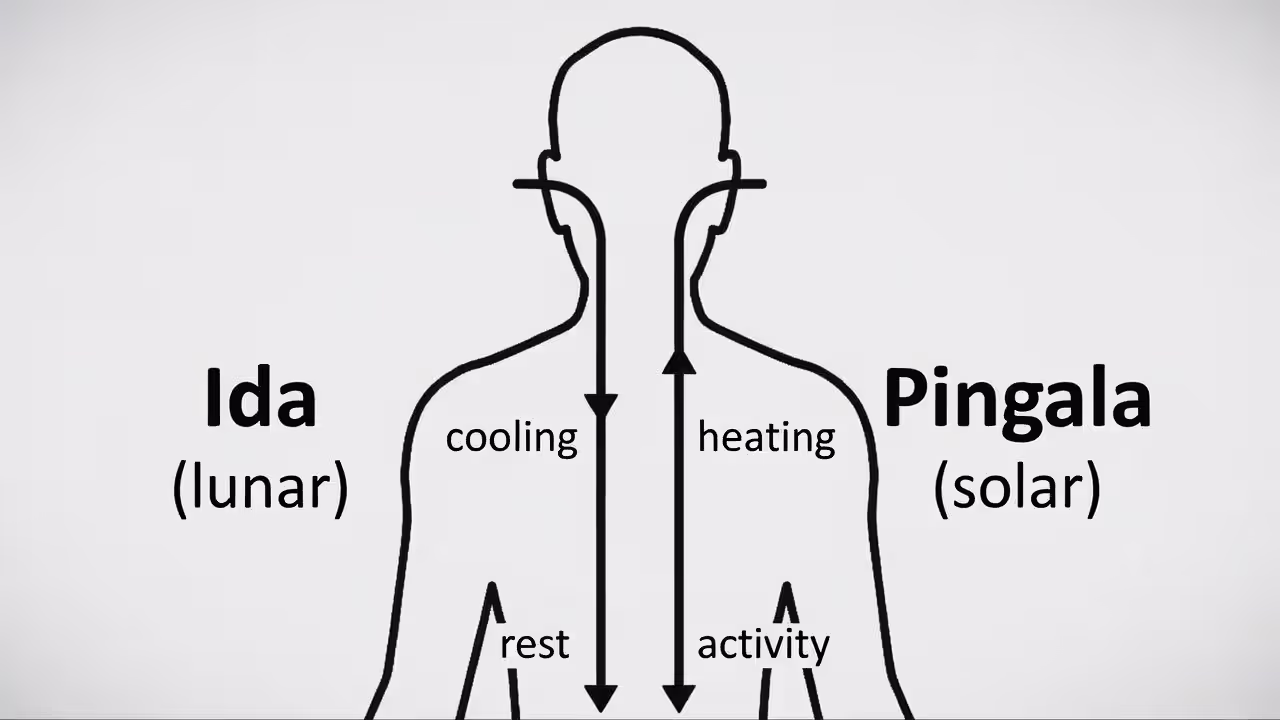 Diagram showing Ida and Pingala channels labeled as lunar and solar energy pathways.